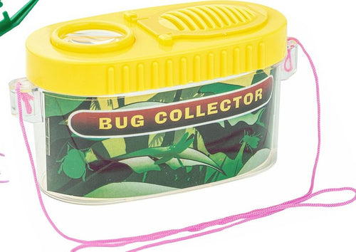 Bug collector box