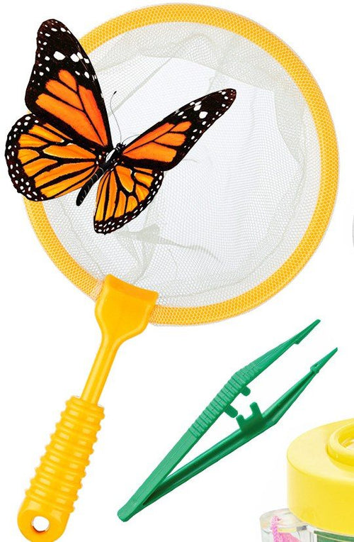 Butterfly net