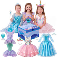 Premium Princess Costume Set with Storage Box – 3 Costumes