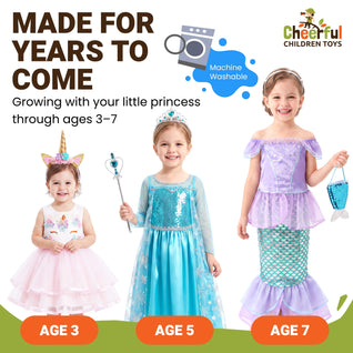 Premium Princess Costume Set with Storage Box – 3 Costumes